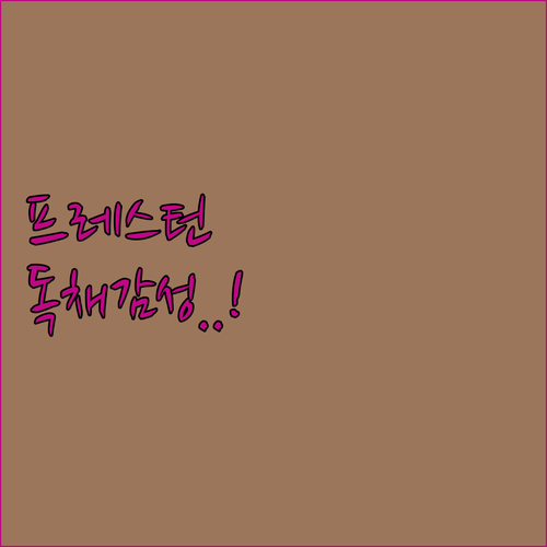 미국 프레스턴 감성 독채 숙소 상세 ..