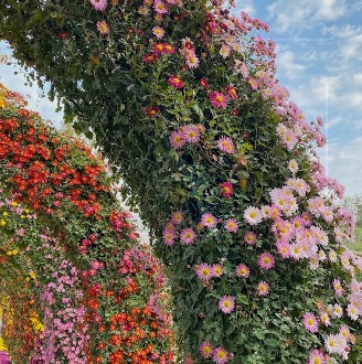 노인교통카드 신청방법