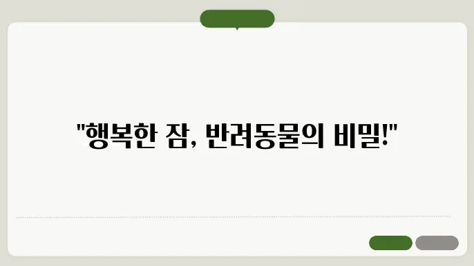 반려동물 수면환경과 행복