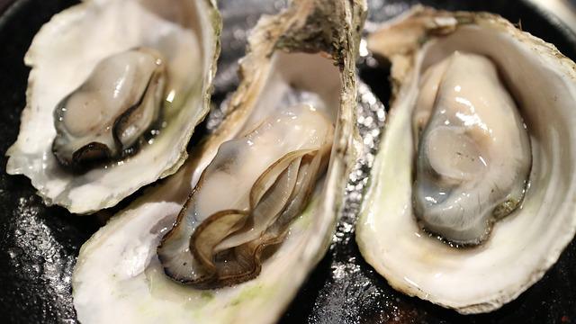 칼슘 많은 음식 - 굴