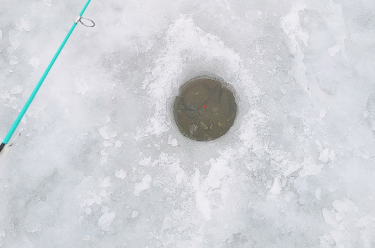청평 설빙 송어빙어 축제
