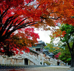 2023 단풍여행 시기 지역별 명소