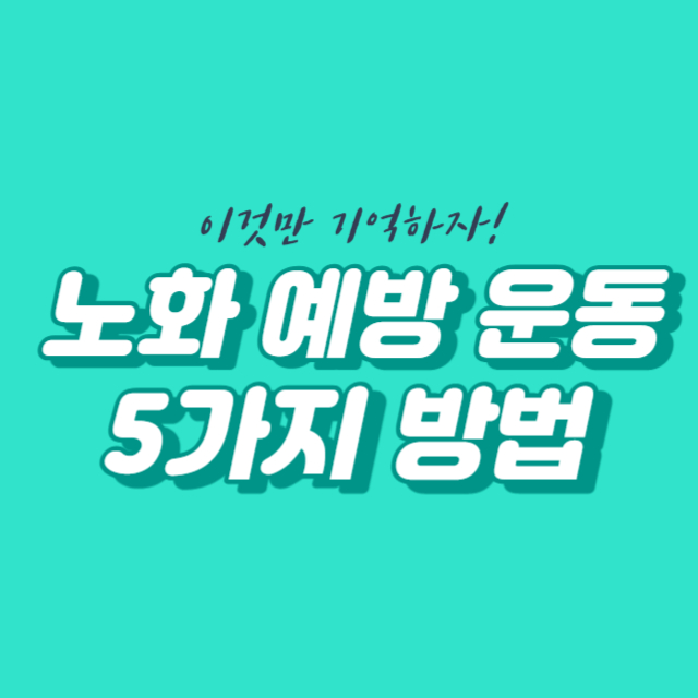 노화 예방 운동