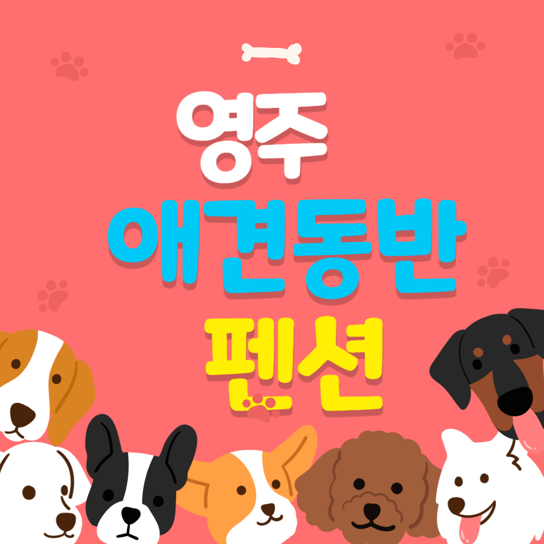 영주 애견동반 펜션