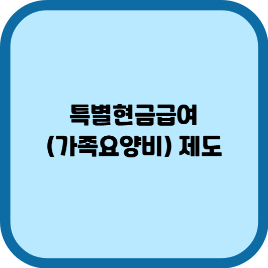 특별현금급여(가족요양비) 제도