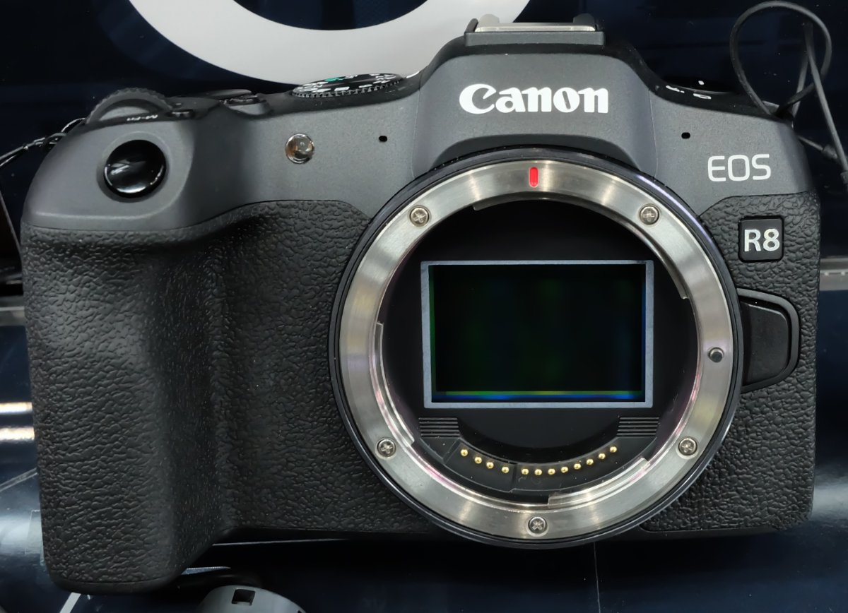 캐논 EOS R8 Mark II 관련 이미지 1