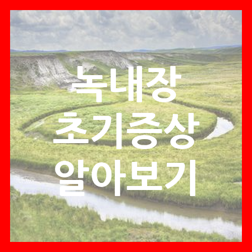 녹내장 초기증상 알아보기