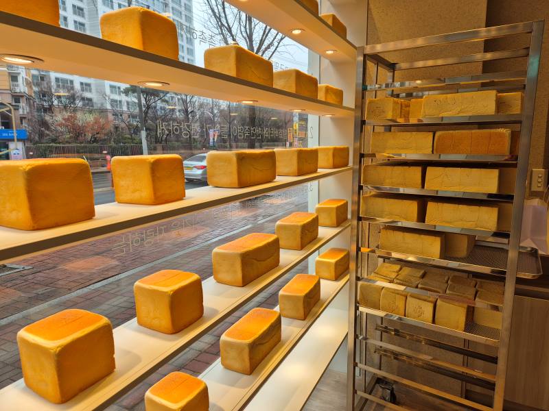 화이트리에-구입-후기