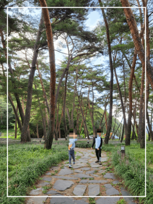 상주 아이사랑키즈 풀빌라 독채