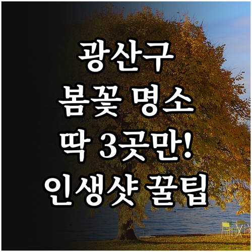 봄에 걷기 좋은 광주 광산구 명소 3..