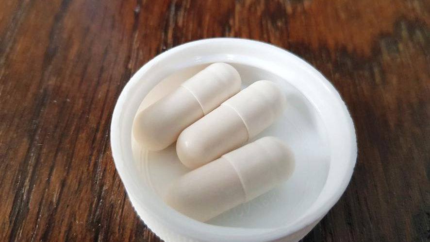 불가리아 유산균