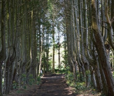 제주도 11월 가볼만한곳