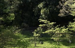 기초노령연금 수급자격 신청방법