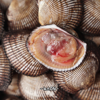 꼬막 효능