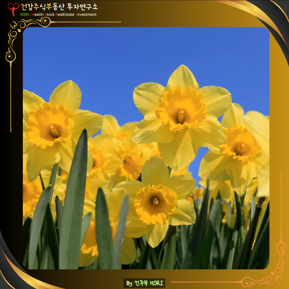 골로새서 2장 그리스도 안에 있는 충만함
(글 그림 : 건주부, 그림 출처 : Canva)