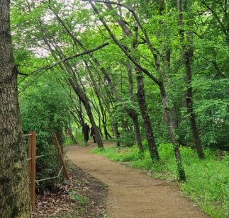 서울 지하철 근교 숲길 트레킹 코스 추천 TOP 5