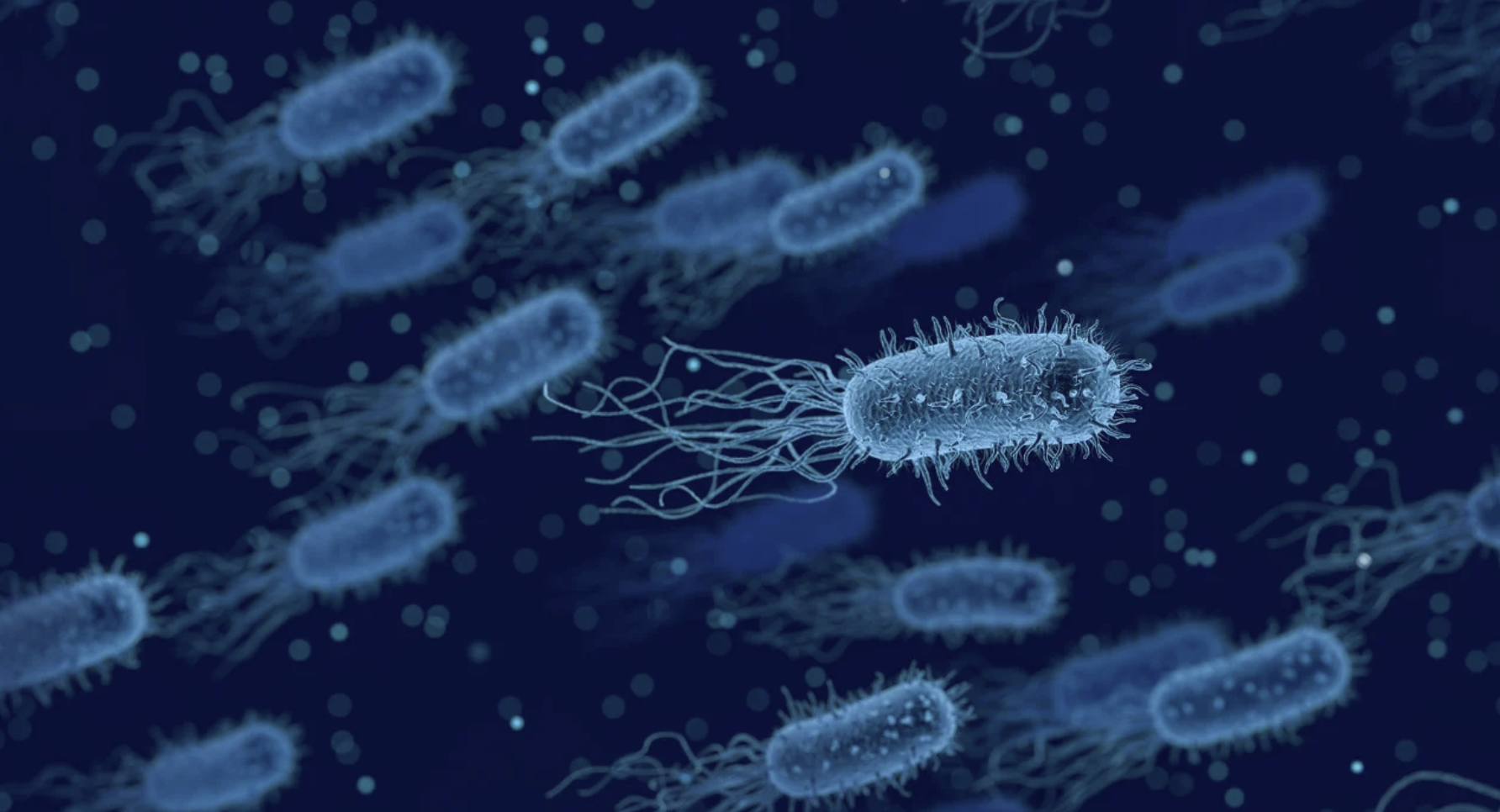 해양 정화의 새로운 패러다임: 플라스틱 분해 박테리아의 발견과 응용