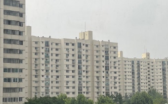 외국인 부동산 투기차단 정책