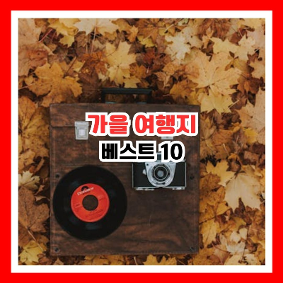 단풍