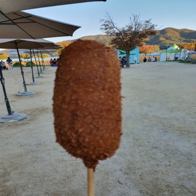 양평양수리가볼만한곳두물머리연잎핫도그