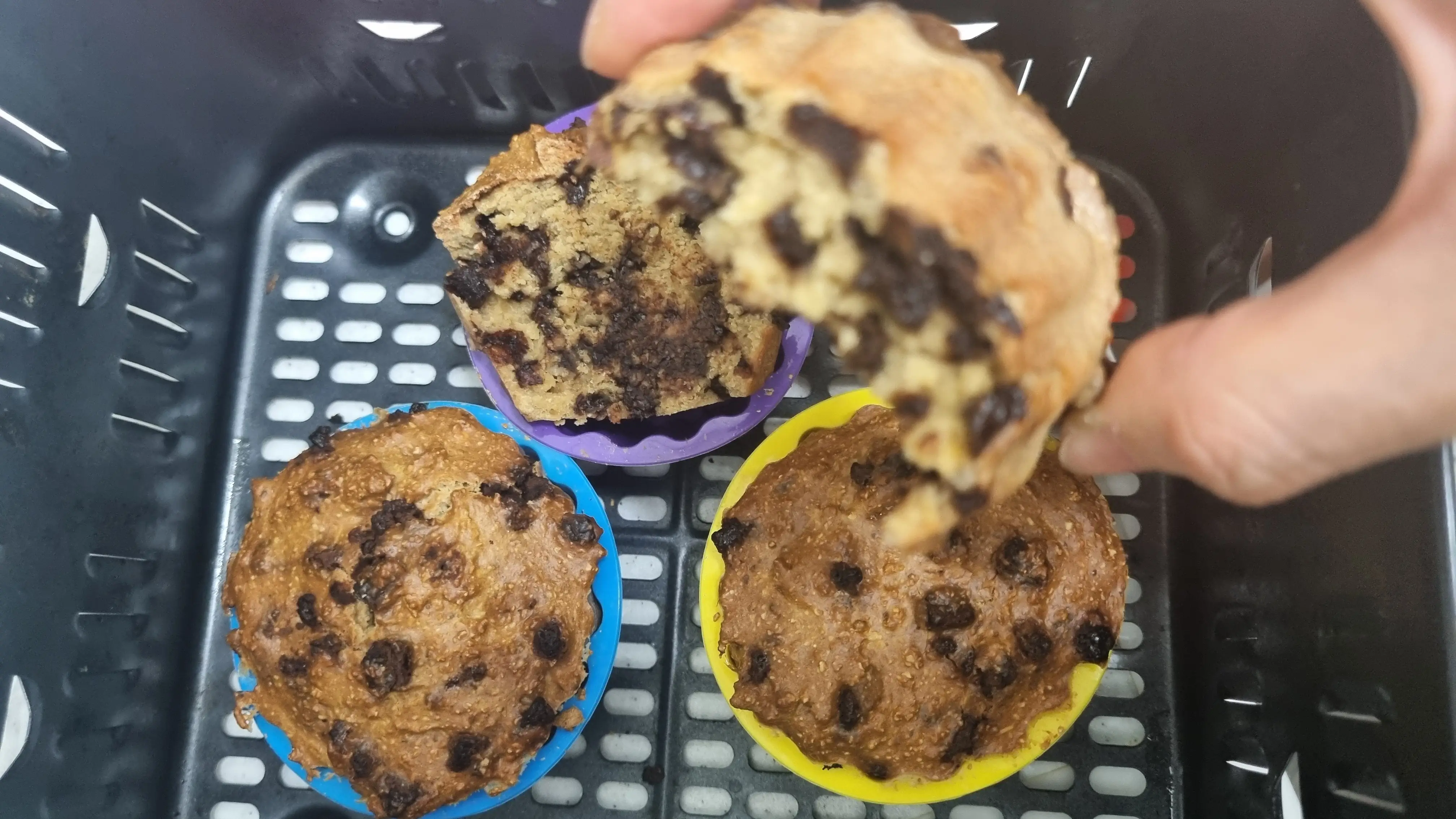 프라임필드 유기농 오트밀