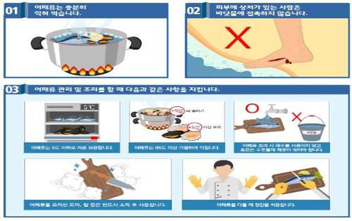 비브리오패혈증 사망자 올해 첫 발생: 치사율 50% 예방법과 고위험군 주의사항 총정리