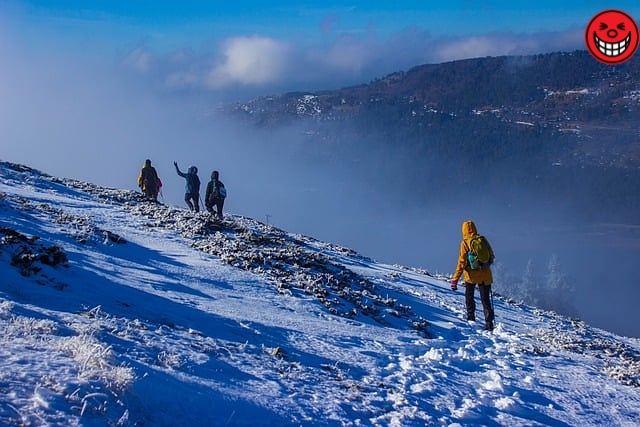어깨 통증 원인과 치료법