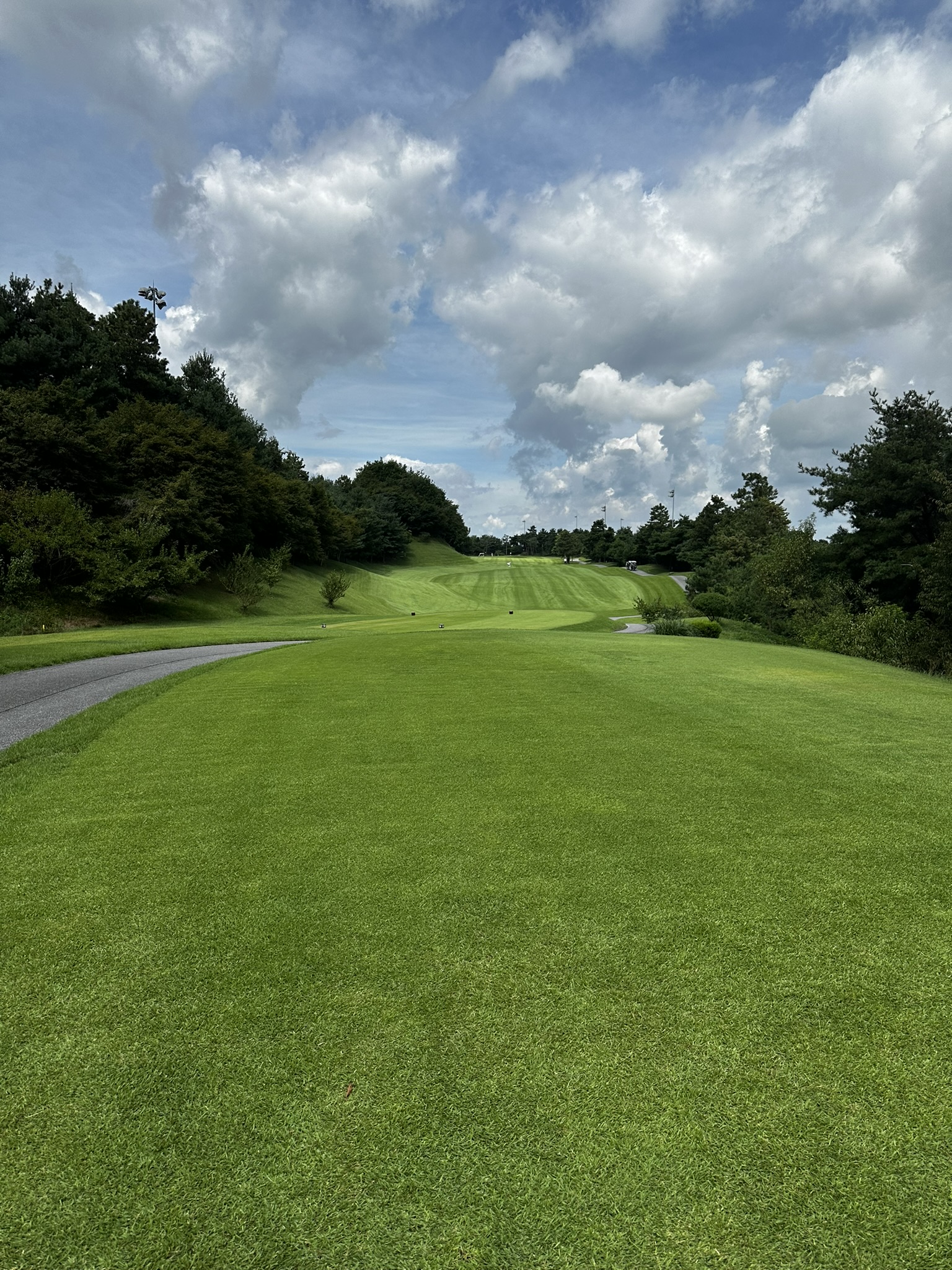 아리지CC 티박스