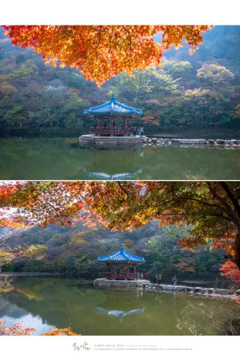 내장산 단풍터널 드라이브 코스 주차장 위치까지 총정리_21