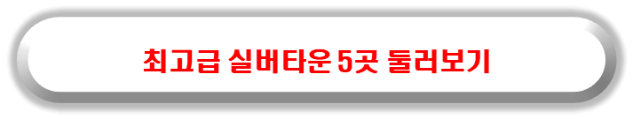 실버타운 최고의 5곳을 미리보기