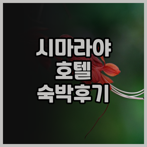 시마라야 호텔에서의 환상적인 숙박 후