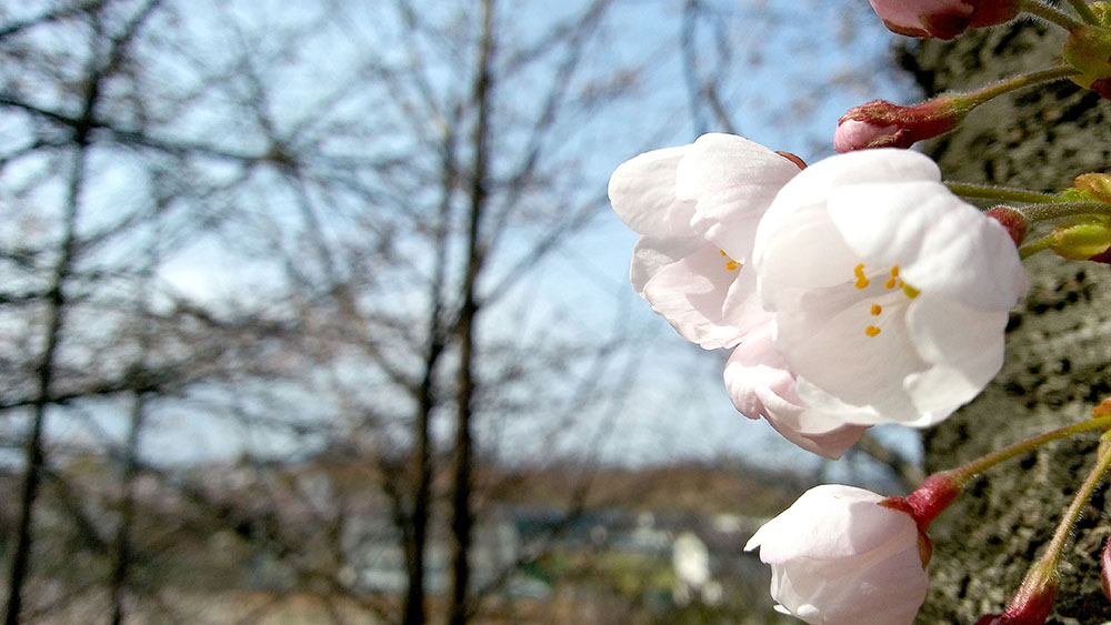 서울둘레길(SeoulDullegil) 3-2코스 고덕산&middot;일자산을 걷다