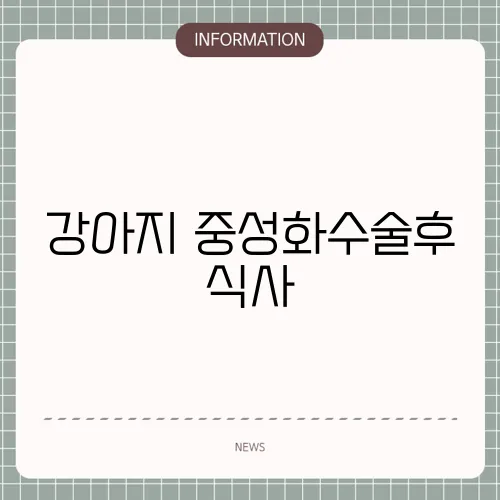 강아지 중성화수술후 식사