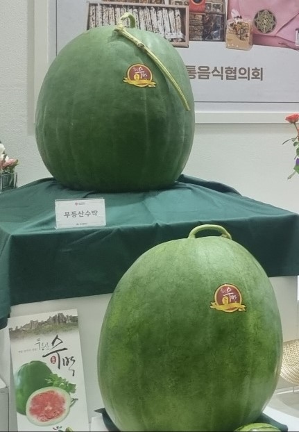 무등산 수박