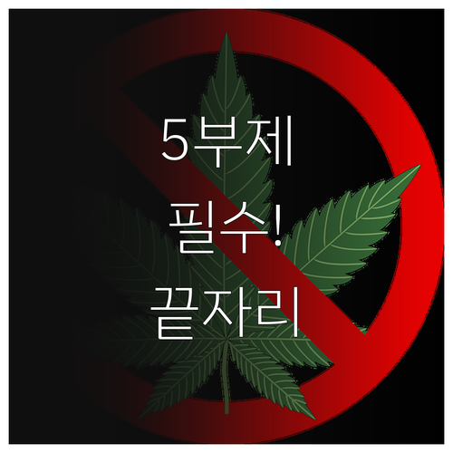차량 5부제 요일별 끝자리 확인법 및..