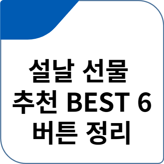 설날 선물 추천 BEST 6 버튼 정리