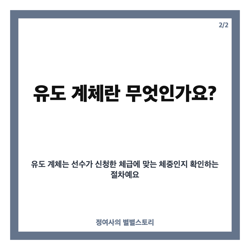 유도 계체, 정수진 무작위 계체 탈락 배경과 쟁점 정리 카드뉴스 3