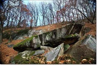 부석사 선묘 의상대사 석룡 전설 역사 의미_13