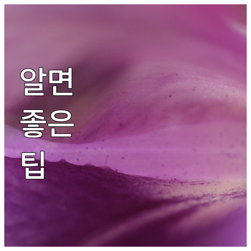 사업 실패 이제 그만 2025 부산 ..