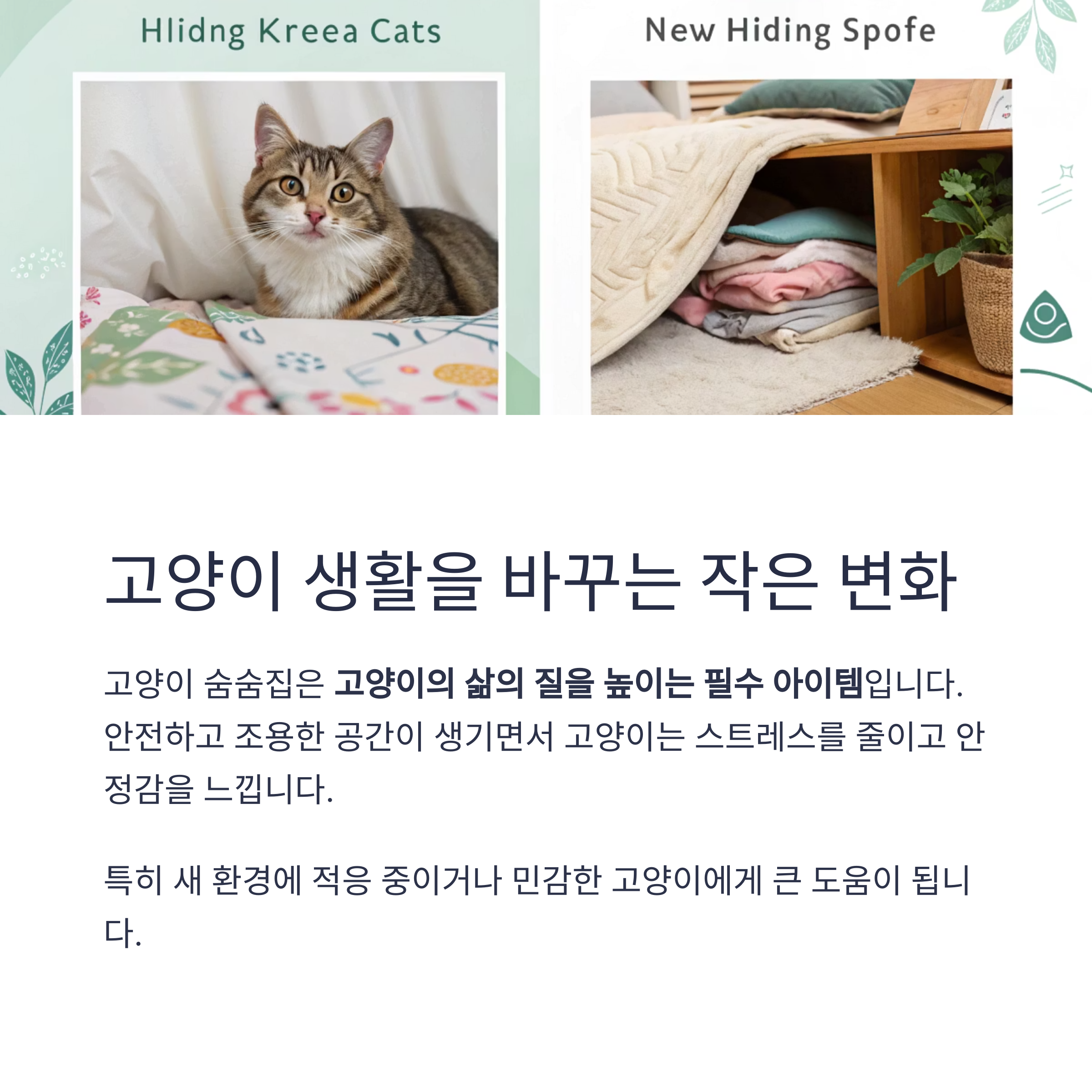 고양이 생활을 바꾸는 작은 변화