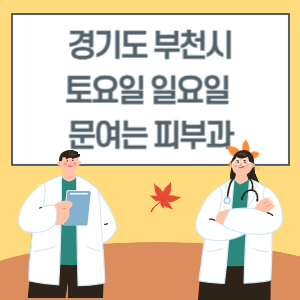 경기도 부천시 토요일 일요일 피부과 진료 문여는 병원 리스트