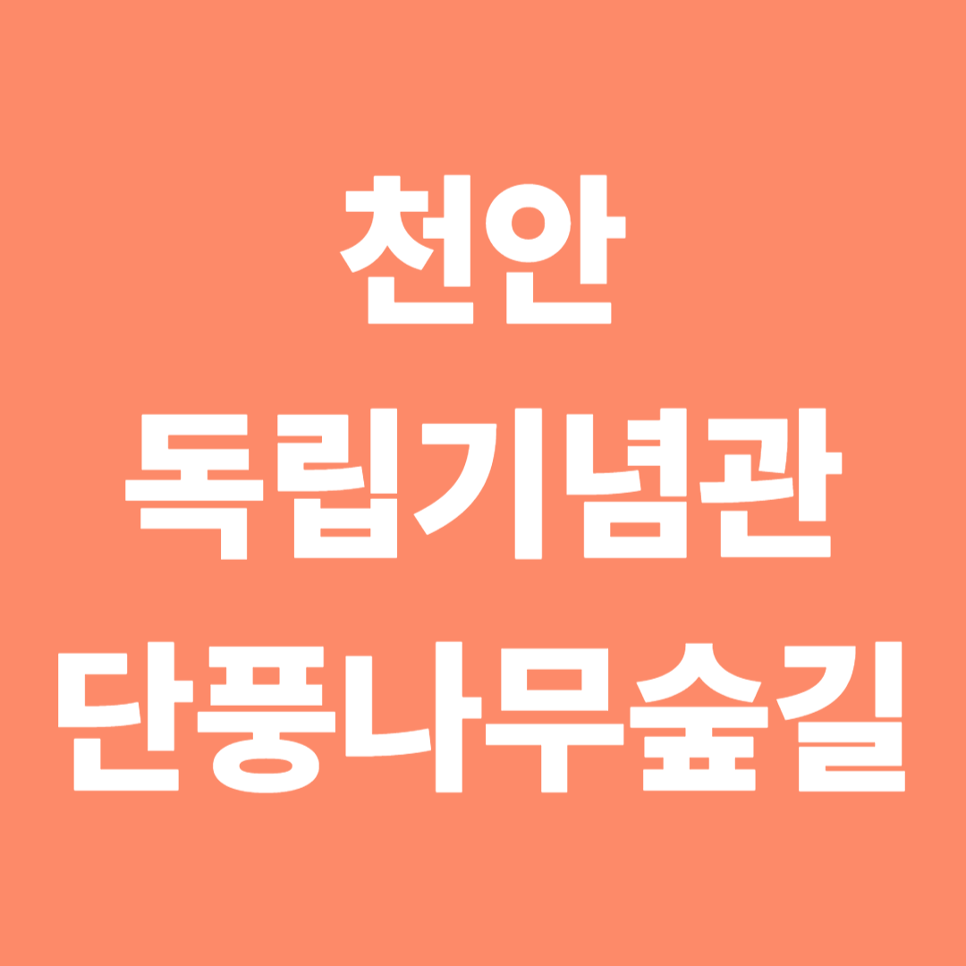 독립기념관 단풍나무숲길 가을 절경 완전정복