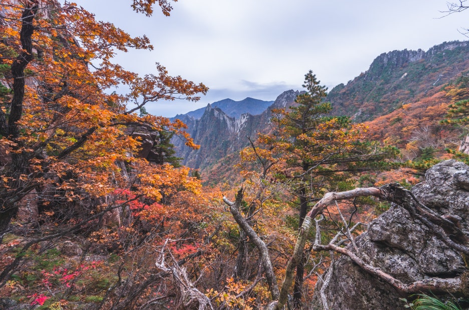 속초 설악산 단풍1