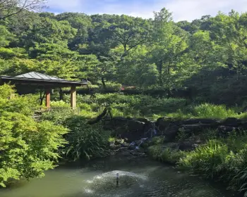 화담숲 예약_2