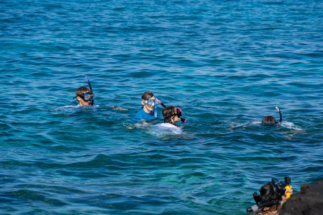 빅아일랜드 투스텝 스노쿨링