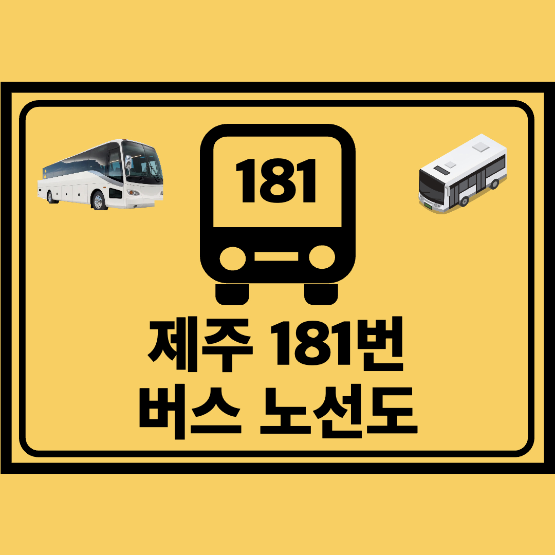 제주_181번_급행버스_노선도
