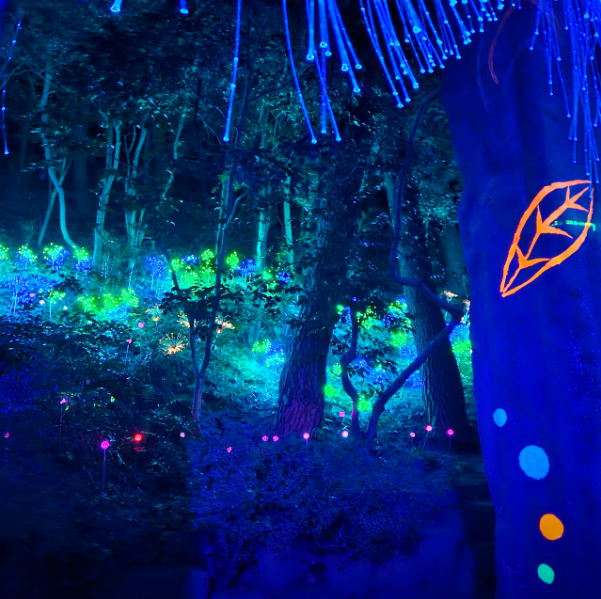 6시내고향 미술관 아귀찜 케이블카 경남 통영 문화 미식여행