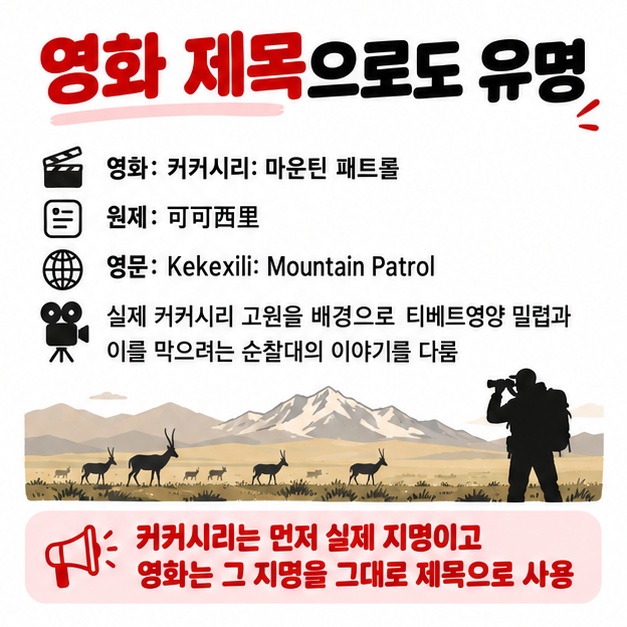영화 커커시리 마운틴 패트롤과 실제 커커시리 지명 티베트영양 밀렵 보호 이야기를 연결해 보여주는 카드