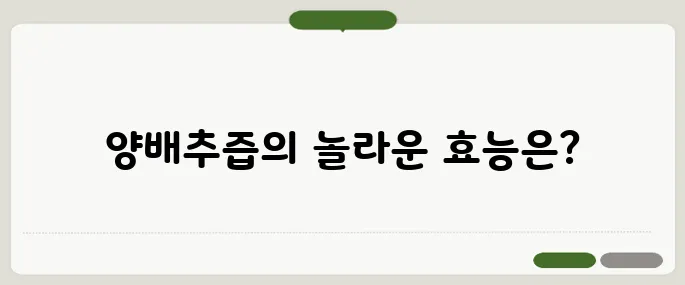 양배추 양배추즙 효능과 먹는법