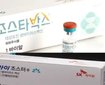 대상포진-무료접종-대상-가격-저렴한-병원-찾기-건강